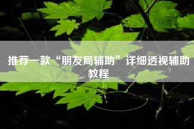 推荐一款“朋友局辅助”详细透视辅助教程