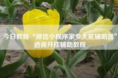 今日教程“微信小程序家乡大贰辅助器”透视开挂辅助教程 今日教程“微信小程序家乡大贰辅助器”透视开挂辅助教程