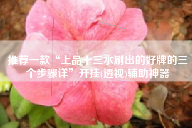 推荐一款“上品十三水刷出的好牌的三个步骤详”开挂(透视)辅助神器 推荐一款“上品十三水刷出的好牌的三个步骤详”开挂(透视)辅助神器