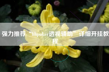 强力推荐“hhpoker透视辅助”详细开挂教程