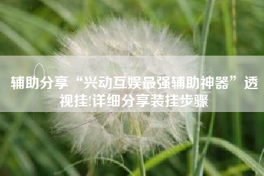 辅助分享“兴动互娱最强辅助神器”透视挂!详细分享装挂步骤