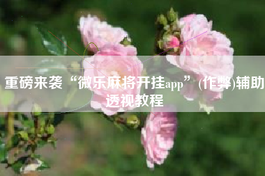 重磅来袭“微乐麻将开挂app”(作弊)辅助透视教程 重磅来袭“微乐麻将开挂app”(作弊)辅助透视教程