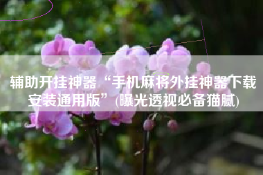 辅助开挂神器“手机麻将外挂神器下载安装通用版”(曝光透视必备猫腻)