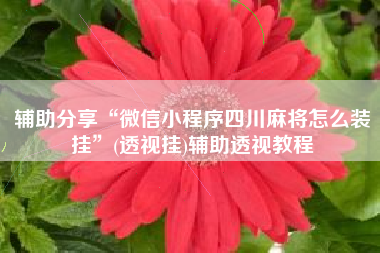 辅助分享“微信小程序四川麻将怎么装挂”(透视挂)辅助透视教程 辅助分享“微信小程序四川麻将怎么装挂”(透视挂)辅助透视教程
