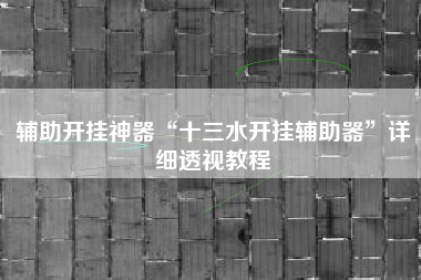 辅助开挂神器“十三水开挂辅助器”详细透视教程 辅助开挂神器“十三水开挂辅助器”详细透视教程