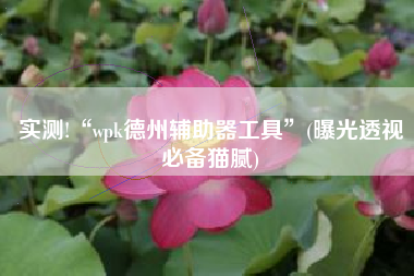 实测!“wpk德州辅助器工具”(曝光透视必备猫腻)