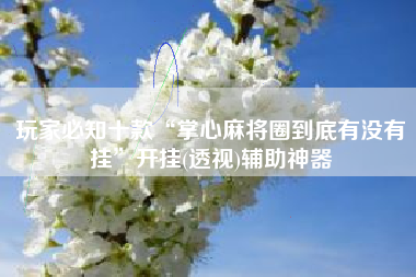 玩家必知十款“掌心麻将圈到底有没有挂”开挂(透视)辅助神器