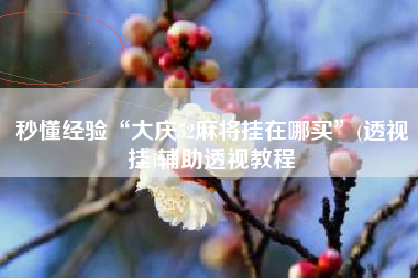 秒懂经验“大庆52麻将挂在哪买”(透视挂)辅助透视教程