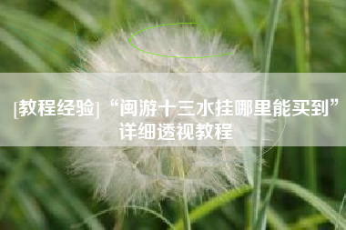 [教程经验]“闽游十三水挂哪里能买到”详细透视教程