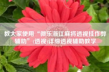 教大家使用“微乐浙江麻将透视挂作弊辅助”(透视)详细透视辅助教学 教大家使用“微乐浙江麻将透视挂作弊辅助”(透视)详细透视辅助教学