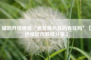 辅助开挂神器“老友麻将真的有挂吗”【透视软件教程分享】 辅助开挂神器“老友麻将真的有挂吗”【透视软件教程分享】