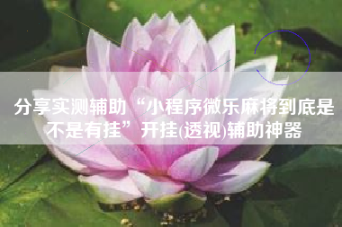 分享实测辅助“小程序微乐麻将到底是不是有挂”开挂(透视)辅助神器