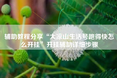 辅助教程分享“大凉山生活号跑得快怎么开挂”开挂辅助详细步骤 辅助教程分享“大凉山生活号跑得快怎么开挂”开挂辅助详细步骤