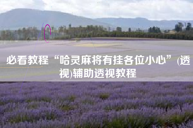 必看教程“哈灵麻将有挂各位小心”(透视)辅助透视教程