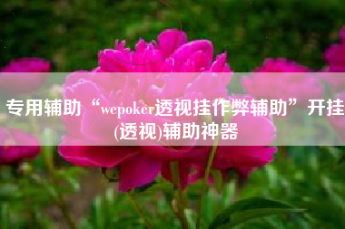 专用辅助“wepoker透视挂作弊辅助”开挂(透视)辅助神器