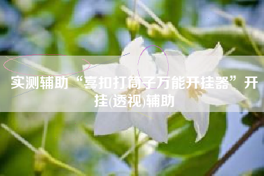 实测辅助“喜扣打筒子万能开挂器”开挂(透视)辅助