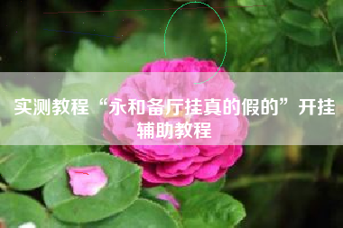 实测教程“永和备厅挂真的假的”开挂辅助教程 实测教程“永和备厅挂真的假的”开挂辅助教程