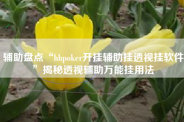 辅助盘点“hhpoker开挂辅助挂透视挂软件”揭秘透视辅助万能挂用法