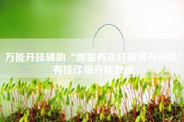 万能开挂辅助“哪里有卖打麻将开的挂”有挂详细开挂教程