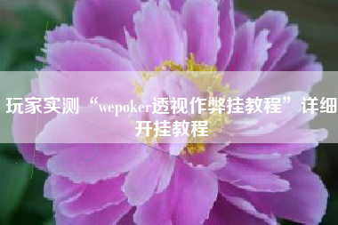 玩家实测“wepoker透视作弊挂教程”详细开挂教程