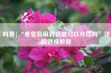 科普|“秦皇岛麻将到底可以开挂吗”详细透视教程 科普|“秦皇岛麻将到底可以开挂吗”详细透视教程