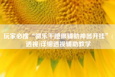 玩家必搜“微乐干瞪眼辅助神器开挂”(透视)详细透视辅助教学