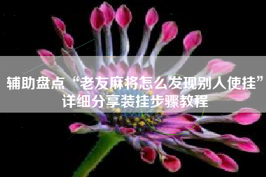 辅助盘点“老友麻将怎么发现别人使挂”详细分享装挂步骤教程