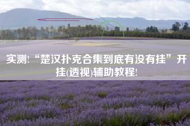 实测!“楚汉扑克合集到底有没有挂”开挂(透视)辅助教程!