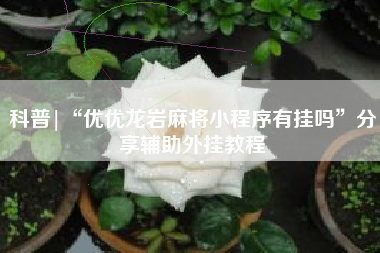 科普|“优优龙岩麻将小程序有挂吗”分享辅助外挂教程