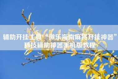 辅助开挂工具“微乐海南麻将开挂神器”科技辅助神器手机版教程 辅助开挂工具“微乐海南麻将开挂神器”科技辅助神器手机版教程