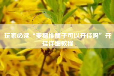 玩家必读“麦穗推筒子可以开挂吗”开挂详细教程