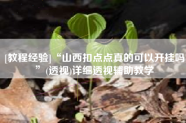 [教程经验]“山西扣点点真的可以开挂吗”(透视)详细透视辅助教学