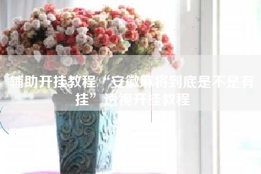 辅助开挂教程“安徽麻将到底是不是有挂”透视开挂教程