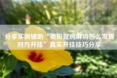 分享实测辅助“贵阳捉鸡麻将怎么发现对方开挂”真实开挂技巧分享