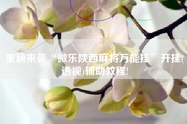 重磅来袭“微乐陕西麻将万能挂”开挂(透视)辅助教程! 重磅来袭“微乐陕西麻将万能挂”开挂(透视)辅助教程!