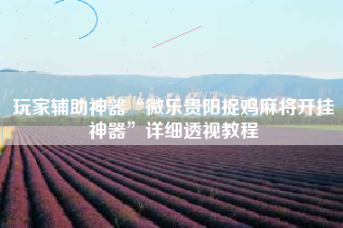 玩家辅助神器“微乐贵阳捉鸡麻将开挂神器”详细透视教程 玩家辅助神器“微乐贵阳捉鸡麻将开挂神器”详细透视教程