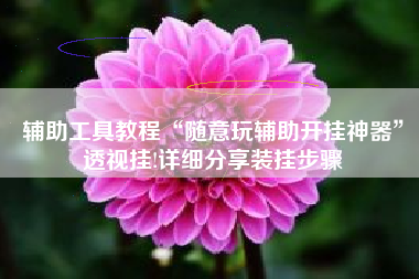 辅助工具教程“随意玩辅助开挂神器”透视挂!详细分享装挂步骤 辅助工具教程“随意玩辅助开挂神器”透视挂!详细分享装挂步骤