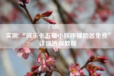 实测!“微乐卡五星小程序辅助器免费”详细透视教程 实测!“微乐卡五星小程序辅助器免费”详细透视教程