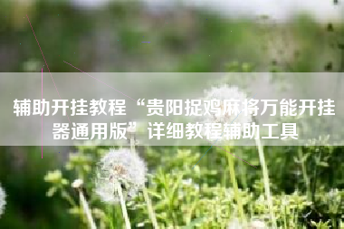 辅助开挂教程“贵阳捉鸡麻将万能开挂器通用版”详细教程辅助工具