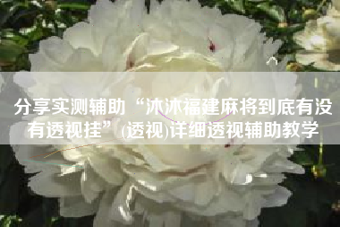 分享实测辅助“沐沐福建麻将到底有没有透视挂”(透视)详细透视辅助教学