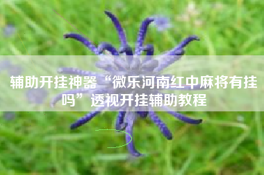 辅助开挂神器“微乐河南红中麻将有挂吗”透视开挂辅助教程