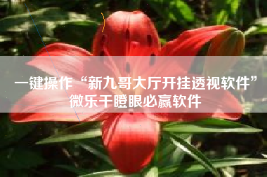 一键操作“新九哥大厅开挂透视软件”微乐干瞪眼必赢软件