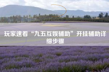 玩家速看“九五互娱辅助”开挂辅助详细步骤 玩家速看“九五互娱辅助”开挂辅助详细步骤