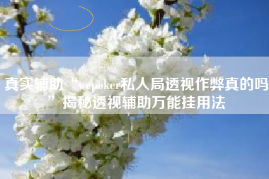 真实辅助“wepoker私人局透视作弊真的吗”揭秘透视辅助万能挂用法