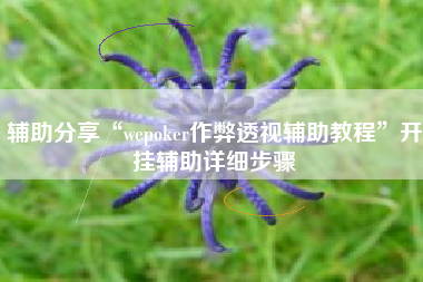 辅助分享“wepoker作弊透视辅助教程”开挂辅助详细步骤