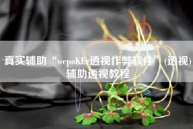 真实辅助“wepoKEr透视作弊软件”(透视)辅助透视教程 真实辅助“wepoKEr透视作弊软件”(透视)辅助透视教程