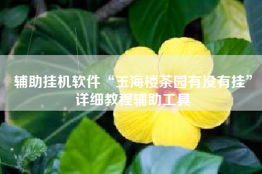 辅助挂机软件“玉海楼茶园有没有挂”详细教程辅助工具