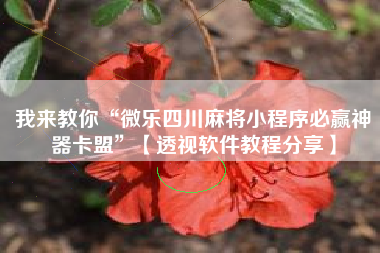 我来教你“微乐四川麻将小程序必赢神器卡盟”【透视软件教程分享】 我来教你“微乐四川麻将小程序必赢神器卡盟”【透视软件教程分享】