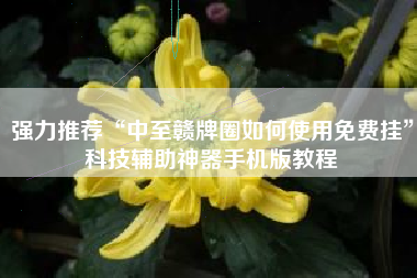 强力推荐“中至赣牌圈如何使用免费挂”科技辅助神器手机版教程 强力推荐“中至赣牌圈如何使用免费挂”科技辅助神器手机版教程