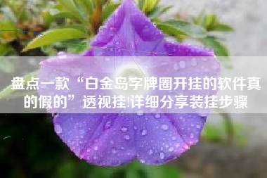 盘点一款“白金岛字牌圈开挂的软件真的假的”透视挂!详细分享装挂步骤